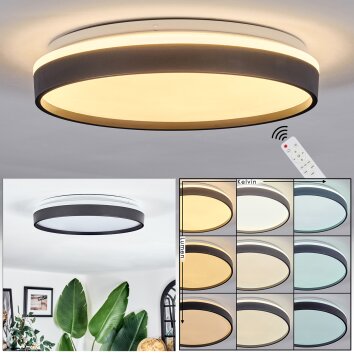 Sofo Plafonnier, Panel LED Blanc, 1 lumière, Télécommandes