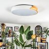 Cadaixo Plafonnier, Panel LED Blanc, 1 lumière