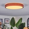 Sofo Plafonnier, Panel LED Blanc, 1 lumière, Télécommandes
