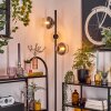Koyoto Lampadaire Ambre, Clair, Fumé, 3 lumières