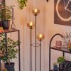 Gastor Lampadaire 30 cm Bois clair, Noir, 3 lumières