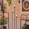 Gastor Lampadaire 30 cm Bois clair, Noir, 3 lumières