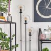 Gastor Lampadaire 30 cm Bois clair, Noir, 3 lumières