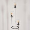 Gastor Lampadaire 30 cm Bois clair, Noir, 3 lumières