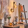 Chehalis Boule lumineuse, Applique murale Ambre, 3 lumières