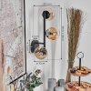 Chehalis Boule lumineuse, Applique murale Ambre, Clair, 3 lumières