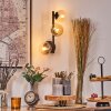 Chehalis Boule lumineuse, Applique murale Ambre, Clair, 3 lumières