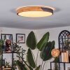 Cadaixo Plafonnier LED Écru, Noir, 1 lumière, Télécommandes