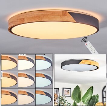 Cadaixo Plafonnier LED Écru, Noir, 1 lumière, Télécommandes