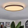 Sofo Plafonnier LED Noir, 1 lumière, Télécommandes