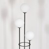 Gastor Lampadaire 30 cm Bois clair, Noir, 3 lumières