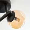 Chehalis Plafonnier, Boule lumineuse Ambre, 3 lumières