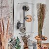 Chehalis Boule lumineuse, Applique murale 23 cm Ambre, Fumé, 3 lumières