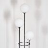 Gastor Lampadaire Noir, 3 lumières