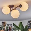 Chehalis Plafonnier, Boule lumineuse Blanc, 3 lumières