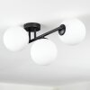 Chehalis Plafonnier, Boule lumineuse Blanc, 3 lumières