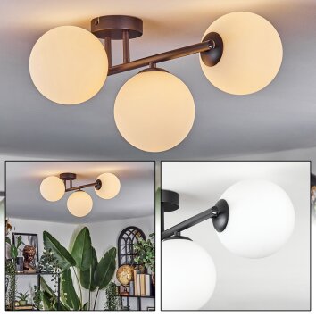 Chehalis Plafonnier, Boule lumineuse Blanc, 3 lumières
