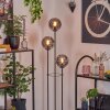Gastor Lampadaire Noir, 3 lumières