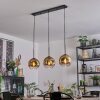 Ripoll Suspension, Boule lumineuse, Suspension Or, Clair, 3 lumières