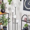 Gastor Lampadaire Bois foncé, Noir, 4 lumières