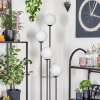 Gastor Lampadaire Bois foncé, Noir, 4 lumières
