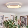 Joren Plafonnier, Panel LED Blanc, 1 lumière, Télécommandes