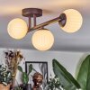 Chehalis Plafonnier, Boule lumineuse Blanc, 3 lumières