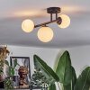 Chehalis Plafonnier, Boule lumineuse Blanc, 3 lumières