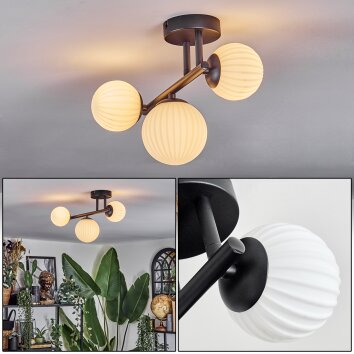 Chehalis Plafonnier, Boule lumineuse Blanc, 3 lumières