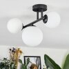 Chehalis Plafonnier, Boule lumineuse Blanc, 3 lumières
