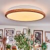 Nogueira Plafonnier, Panel LED Blanc, 1 lumière, Télécommandes