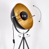 Saturn Lampadaire Noir, 1 lumière