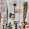 Chehalis Boule lumineuse, Applique murale Ambre, 3 lumières