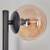 Chehalis Boule lumineuse, Applique murale Ambre, Fumé, 3 lumières