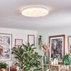 Deral Plafonnier LED Blanc, 1 lumière, Télécommandes