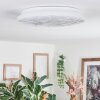 Deral Plafonnier LED Blanc, 1 lumière, Télécommandes
