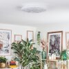 Deral Plafonnier LED Blanc, 1 lumière, Télécommandes