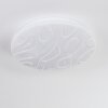 Deral Plafonnier LED Blanc, 1 lumière, Télécommandes