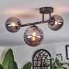 Chehalis Plafonnier, Boule lumineuse Fumé, 3 lumières