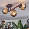 Chehalis Plafonnier, Boule lumineuse Fumé, 3 lumières
