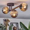 Chehalis Plafonnier, Boule lumineuse Fumé, 3 lumières