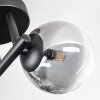 Chehalis Plafonnier, Boule lumineuse Clair, Fumé, 3 lumières