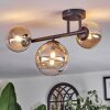 Chehalis Plafonnier, Boule lumineuse Ambre, Clair, 3 lumières