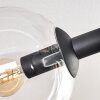 Gastor Plafonnier, Boule lumineuse Ambre, Clair, Fumé, 6 lumières