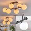 Gastor Plafonnier, Boule lumineuse Blanc, 6 lumières