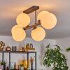 Gastor Plafonnier, Boule lumineuse Blanc, 6 lumières