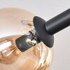 Chehalis Plafonnier, Boule lumineuse Ambre, Clair, Fumé, 8 lumières
