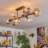 Chehalis Plafonnier, Boule lumineuse Ambre, Clair, Fumé, 8 lumières