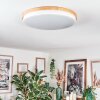 Hiral Plafonnier, Panel LED Écru, Blanc, 1 lumière, Télécommandes