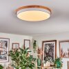 Hiral Plafonnier, Panel LED Écru, Blanc, 1 lumière, Télécommandes
